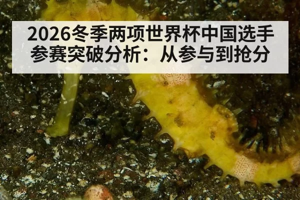 2026冬季两项世界杯中国选手参赛突破分析：从参与到抢分